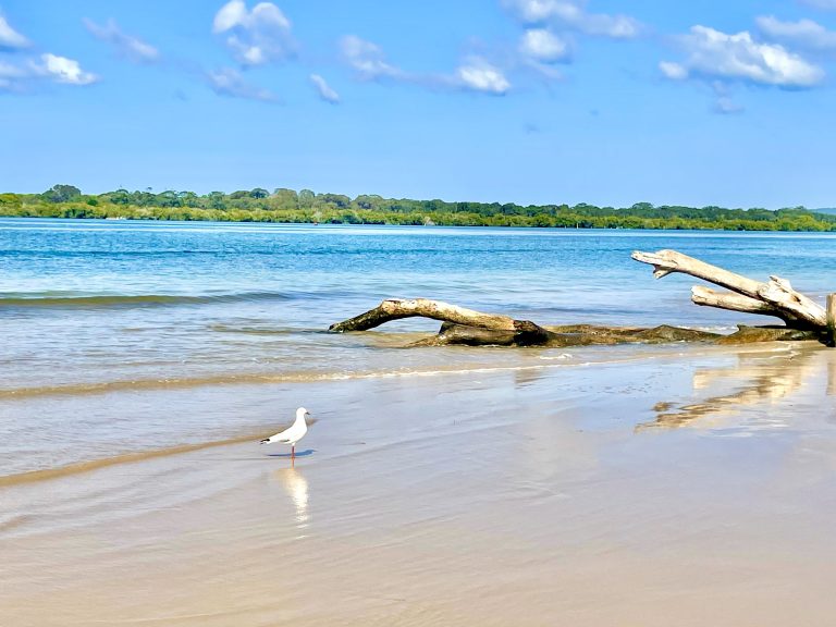 Ballina River