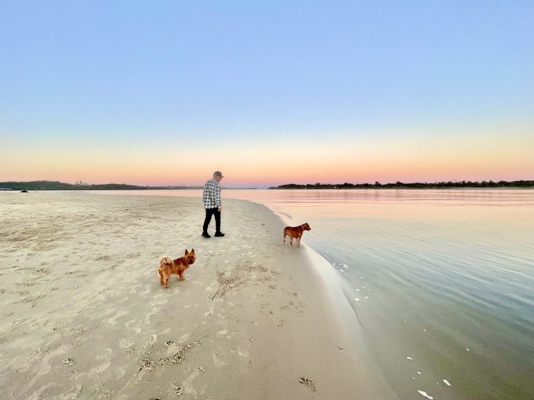 Dog Beach - The Spit