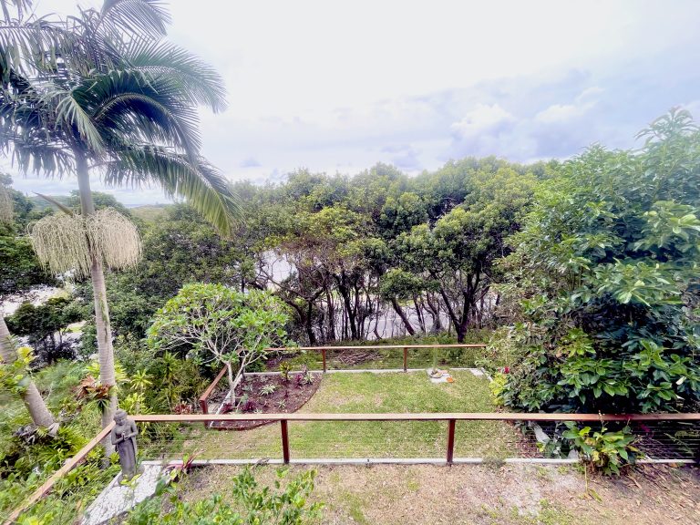 Back Garden