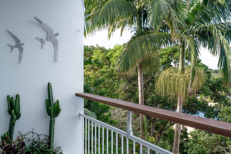 Palms